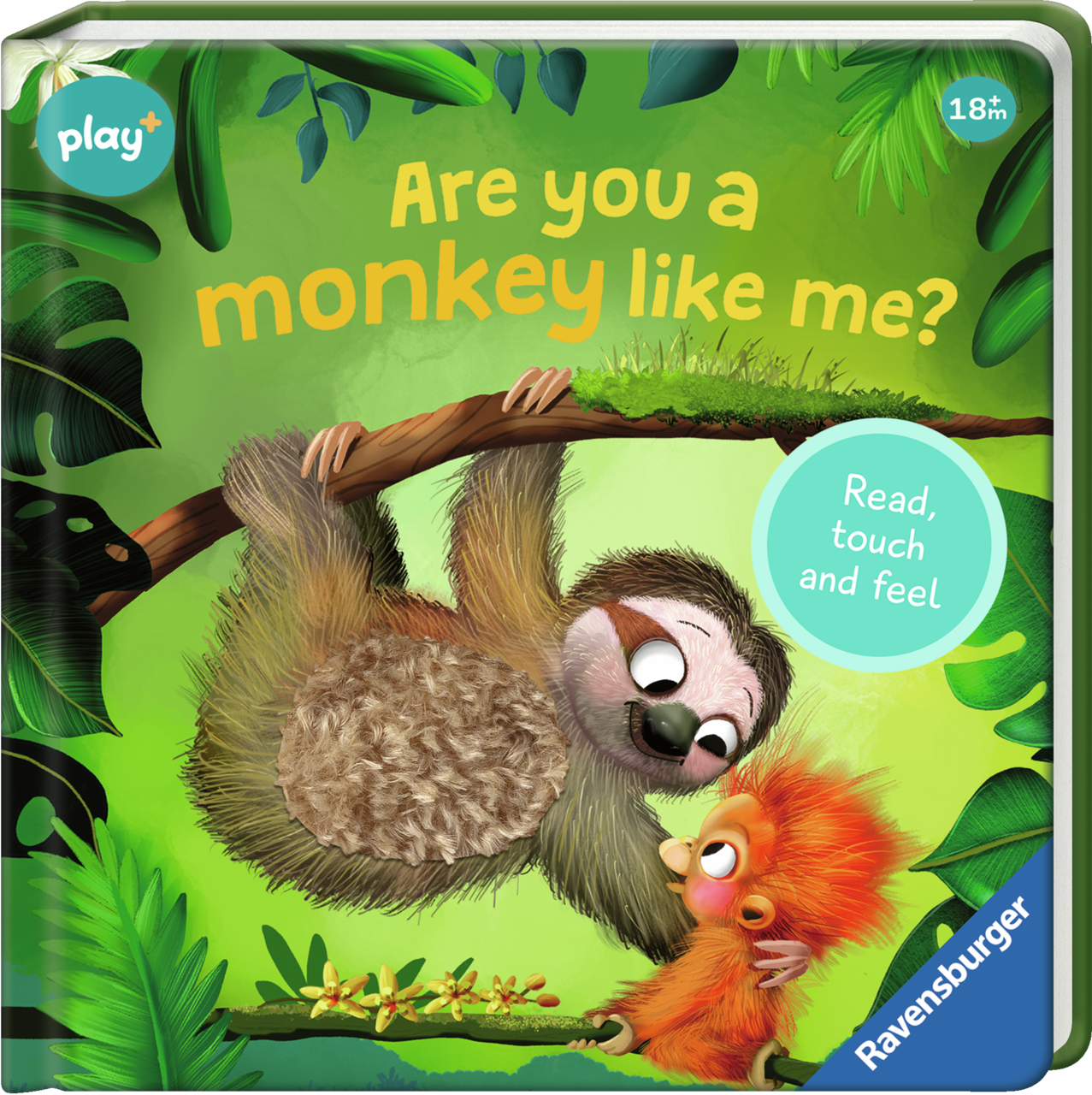 Are You A Monkey Like Me? Book