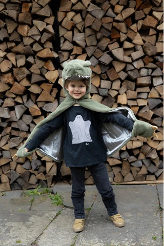 T-Rex Cuddle Cape, Green (Size 3-4)