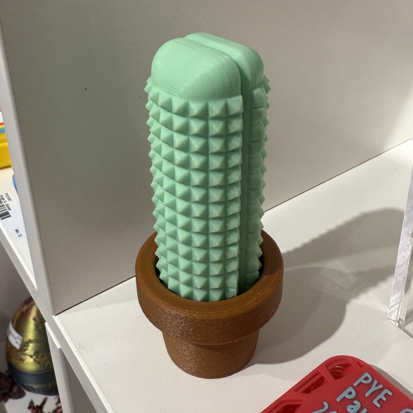 Cactus Stim Slider