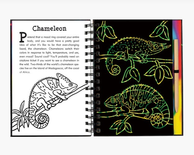 Scratch and Sketch Rain Forest Activity Book