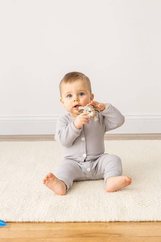 Puppy Molar Teether