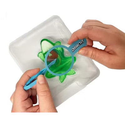 Dissect It Frog Synthetic Dissection Kit