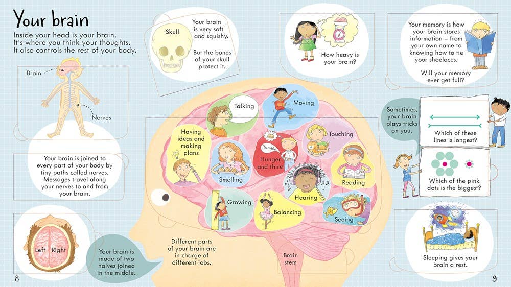 Look Inside Your Body