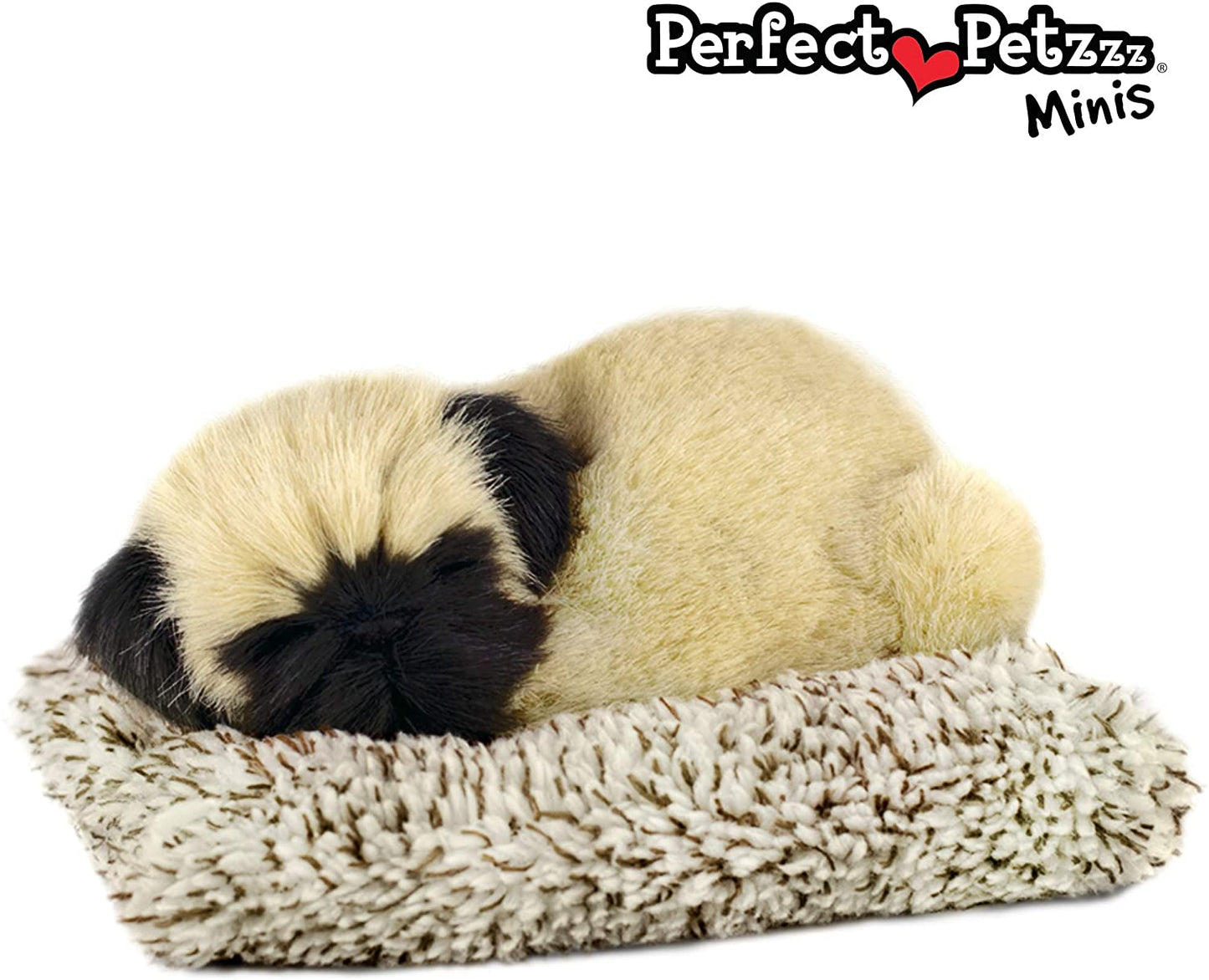 Pp Mini Pug