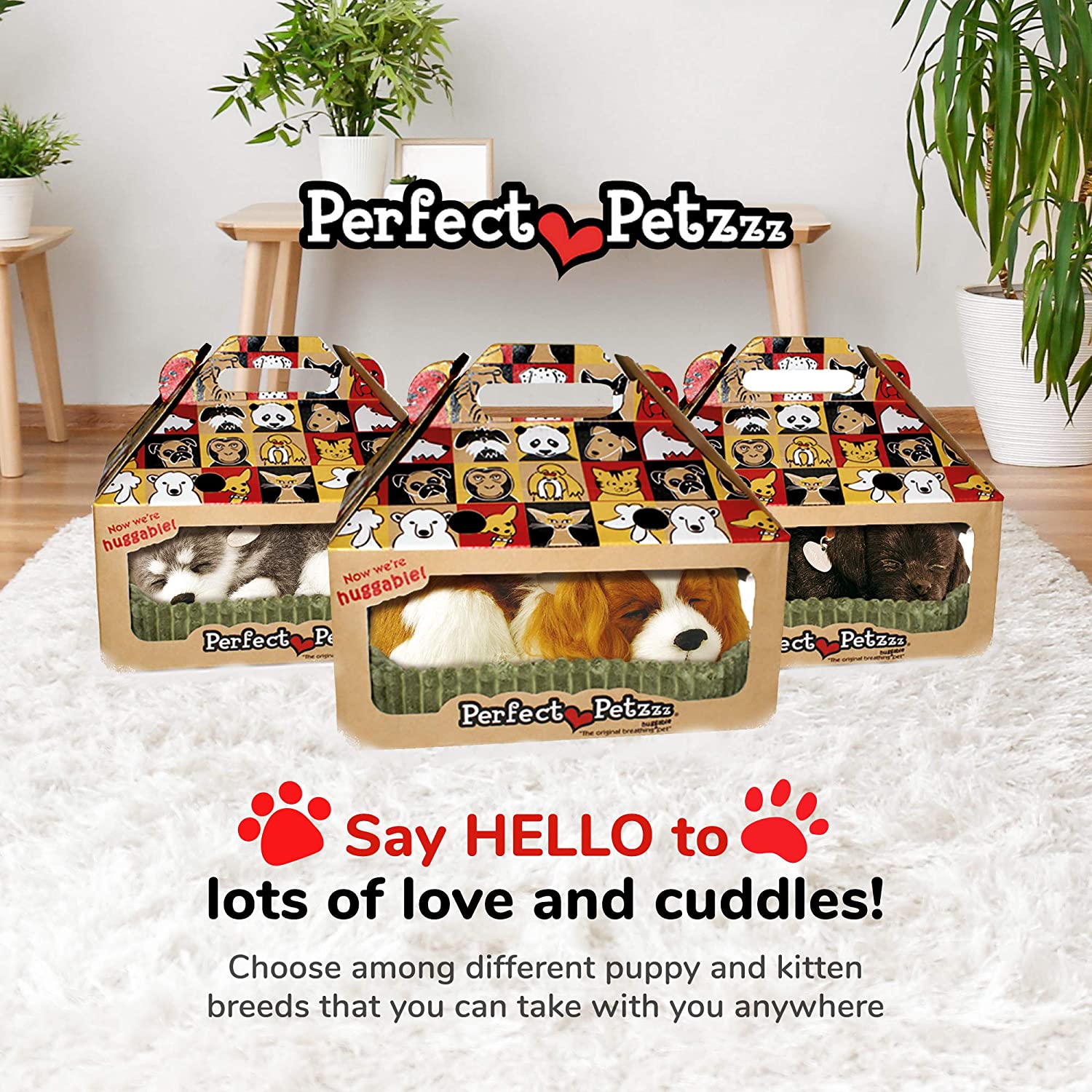 Perfect Petzzz Cavalier King Charles