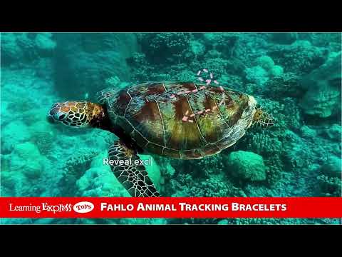 White Howlite Turtle Stc