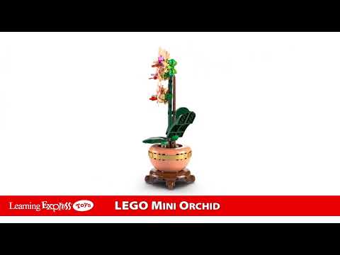 Mini Orchid