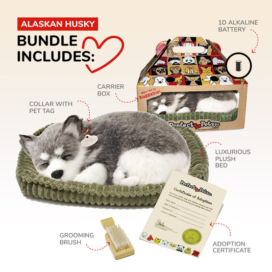 Perfect Petzzz Alaskan Huskey