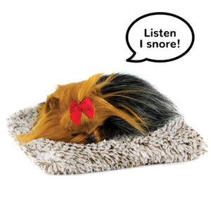 Yorkie - Mini Perfect Petzzz