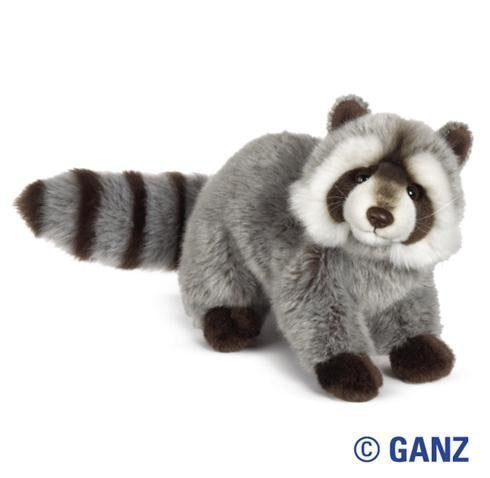 Webkinz Raccoon
