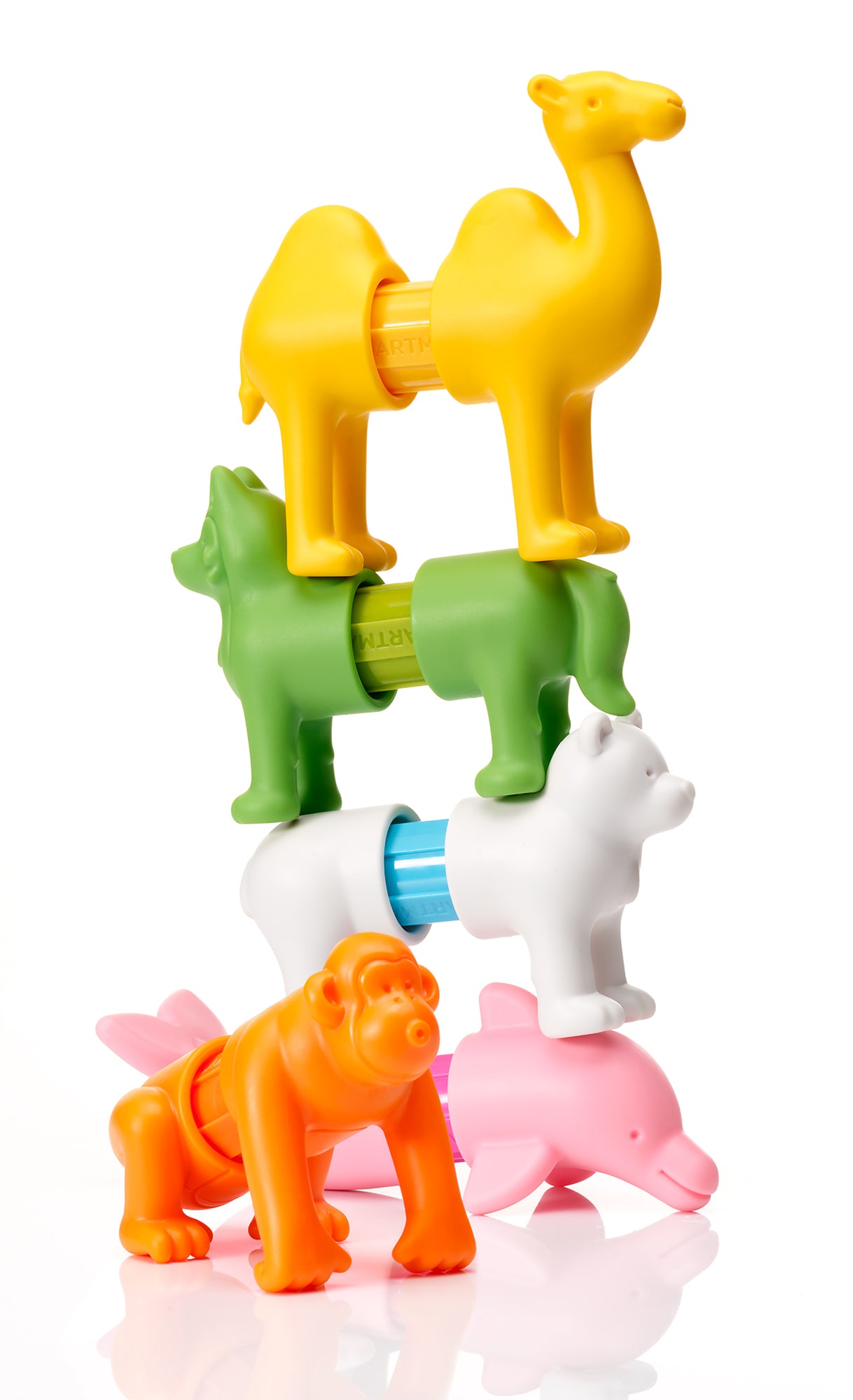 My First Animals Around the World (SmartMax)