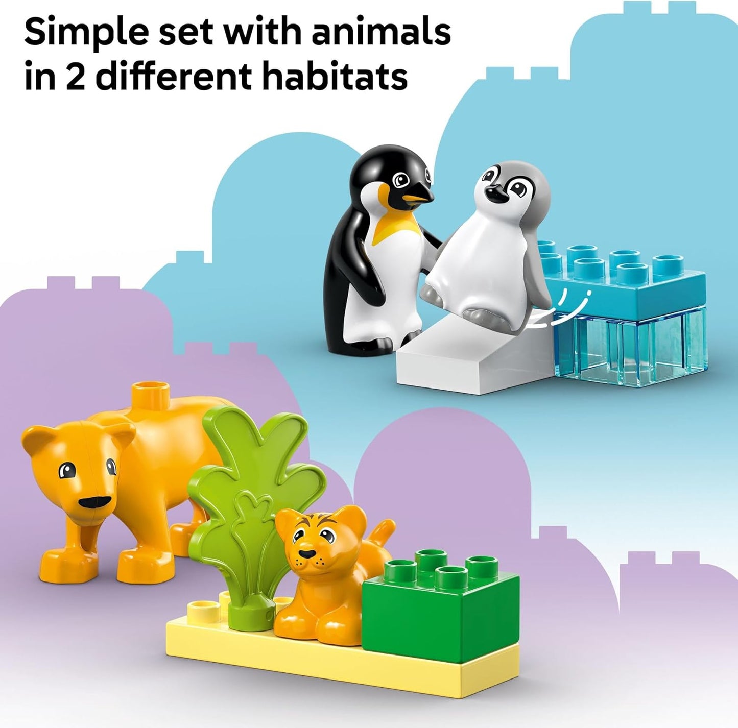 Penguins and Lions