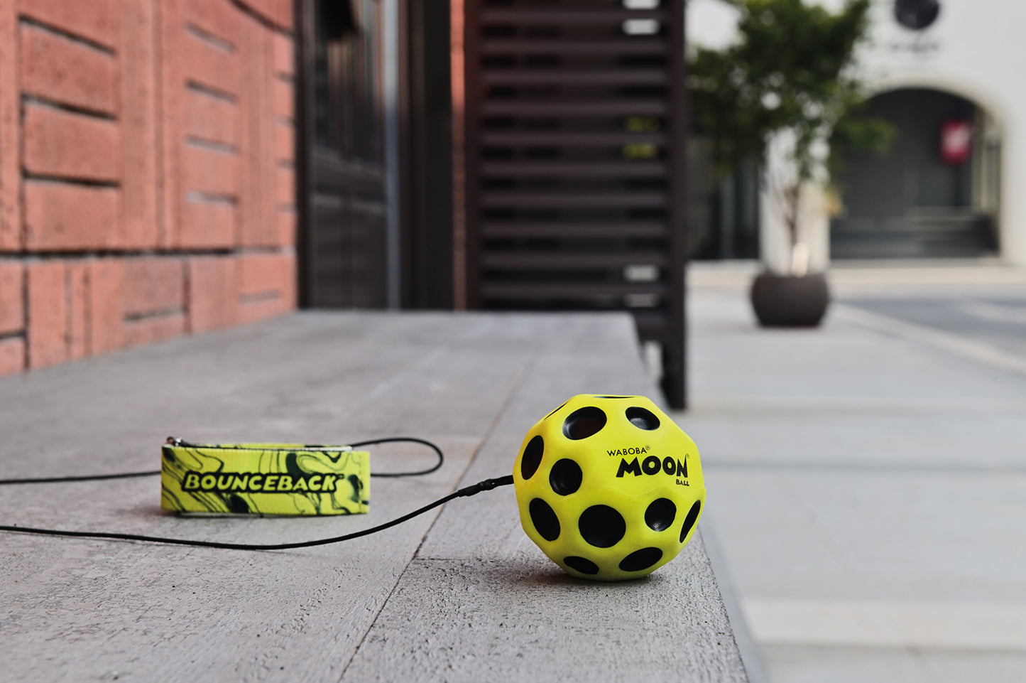 Bounceback Moonball Leash