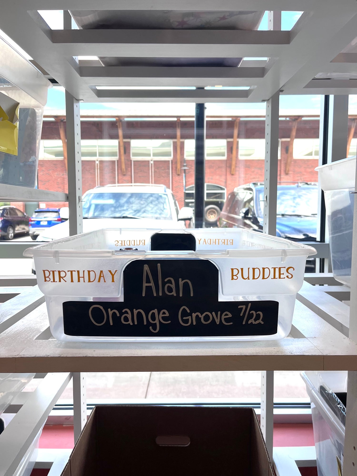 Alan's Birthday Wishlist (Orange Grove)