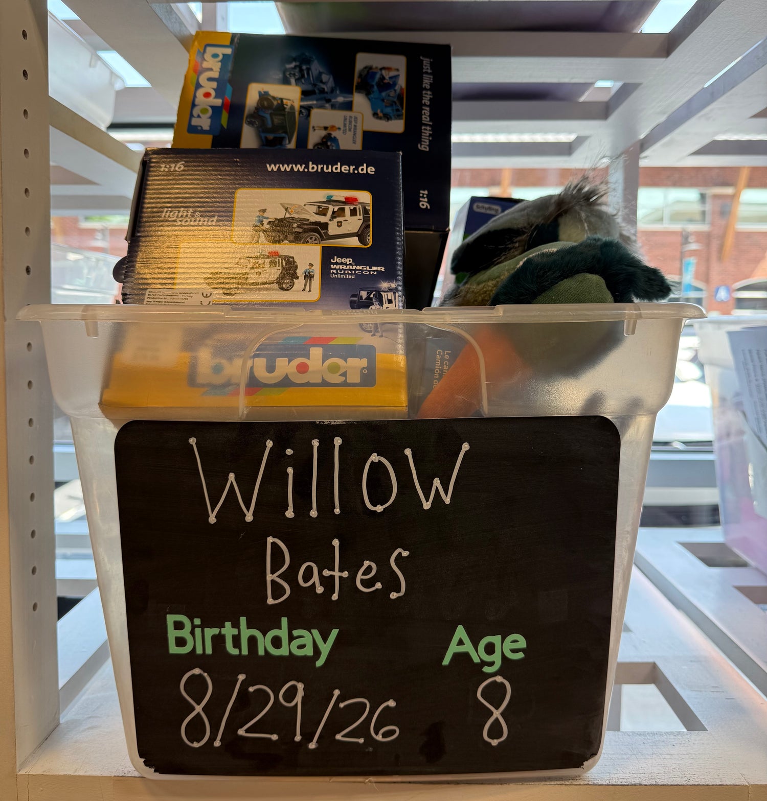 WILLOW BATES BIRTHDAY WISHLIST