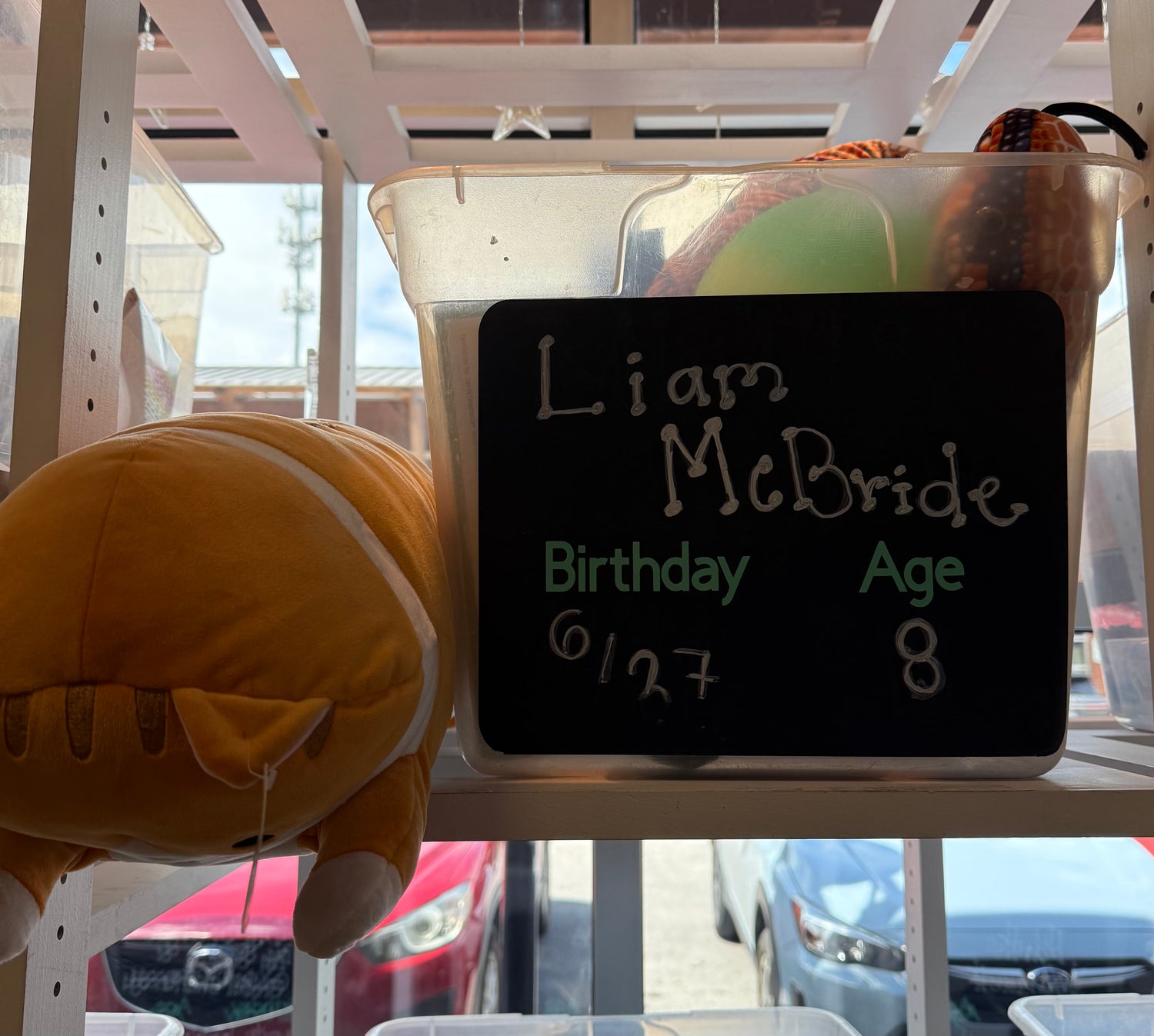 LIAM MCBRIDE'S BIRTHDAY WISHLIST
