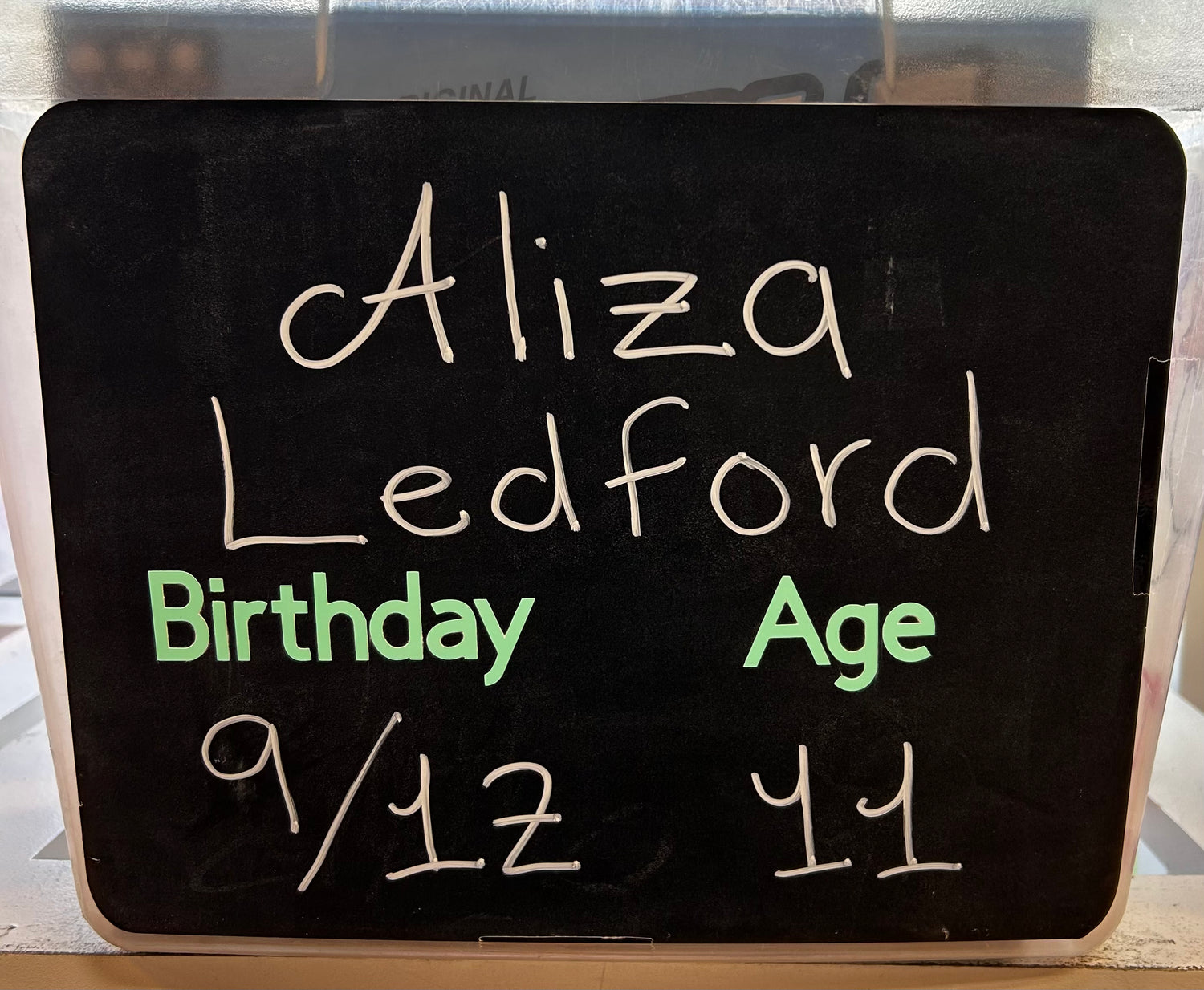 ALIZA LEDFORD'S BIRTHDAY WISHLIST