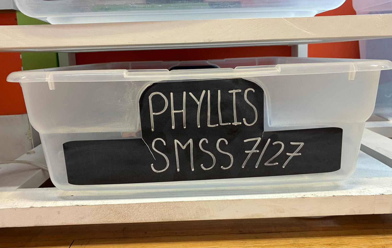 Phyllis' Birthday Wishlist (SMSS)