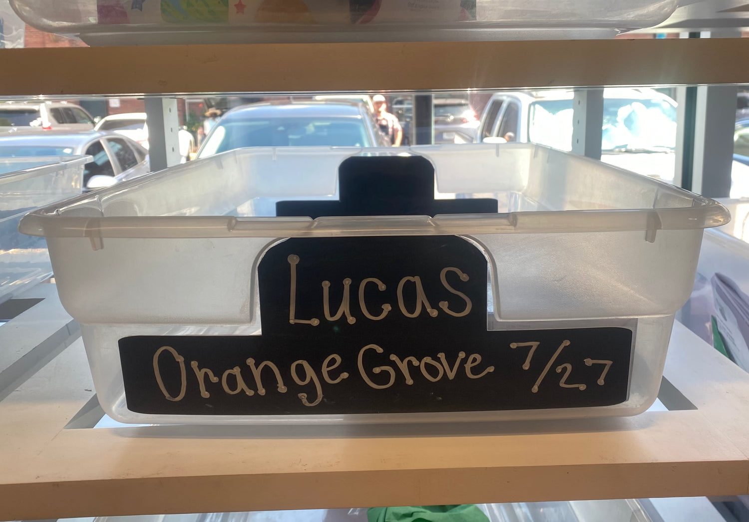 Lucas's Birthday Wishlist (Orange Grove)