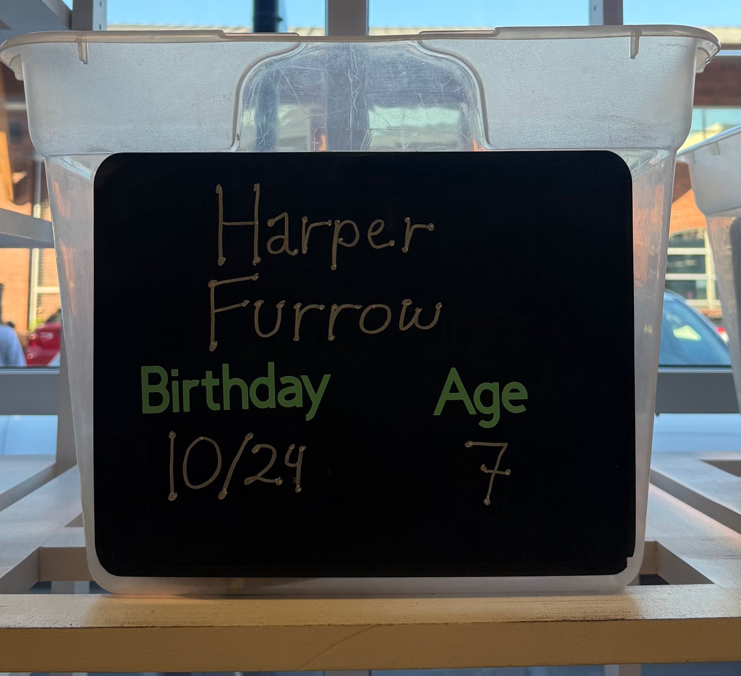 HARPER FURROW'S BIRTHDAY WISHLIST