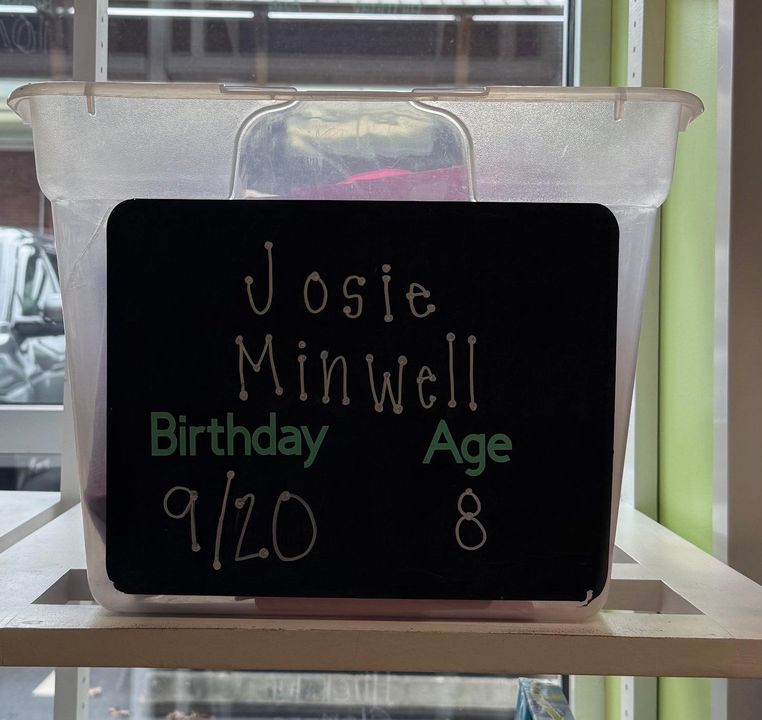 JOSIE MINWELL BIRTHDAY WISHLIST