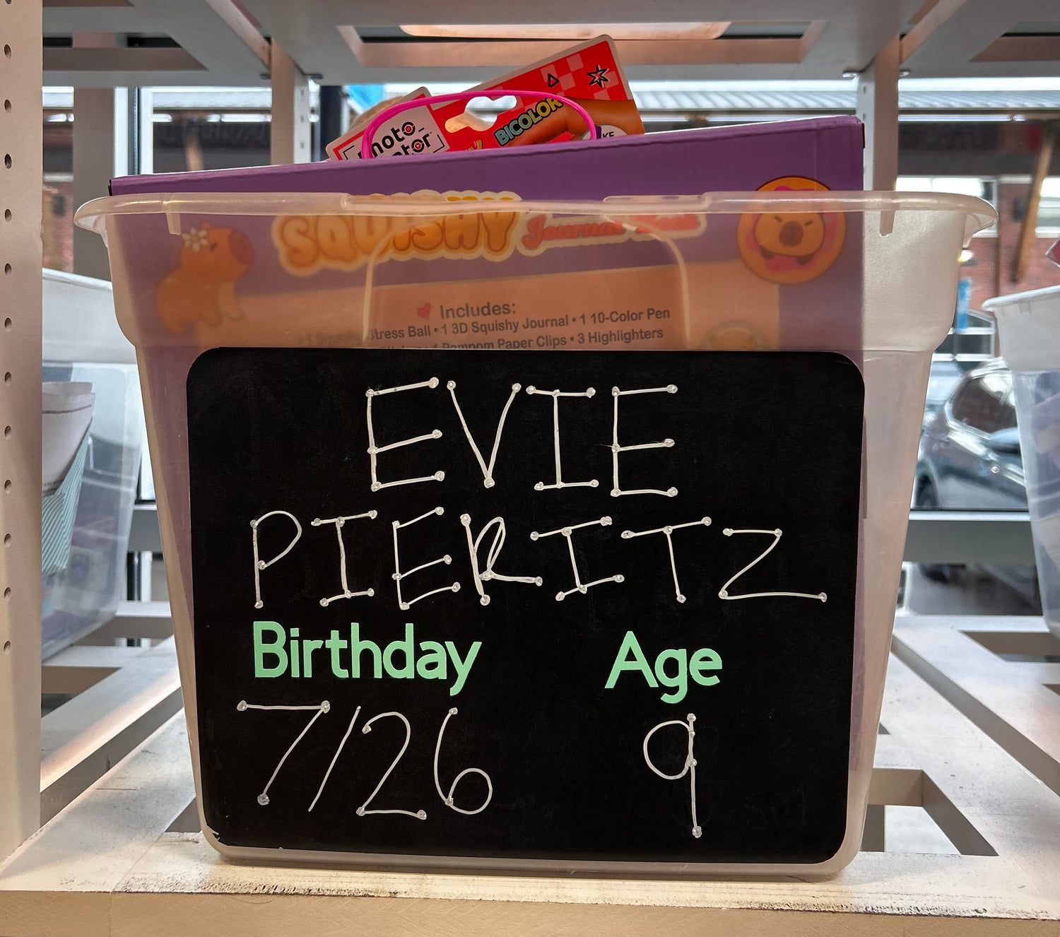 Evie Pieritz Birthday Wishlist