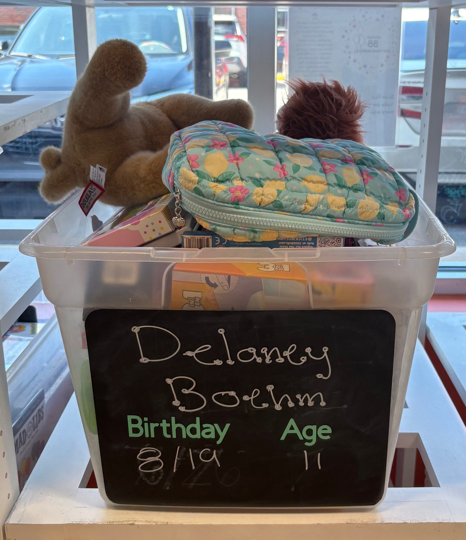 Delany Boehm Birthday Wishlist