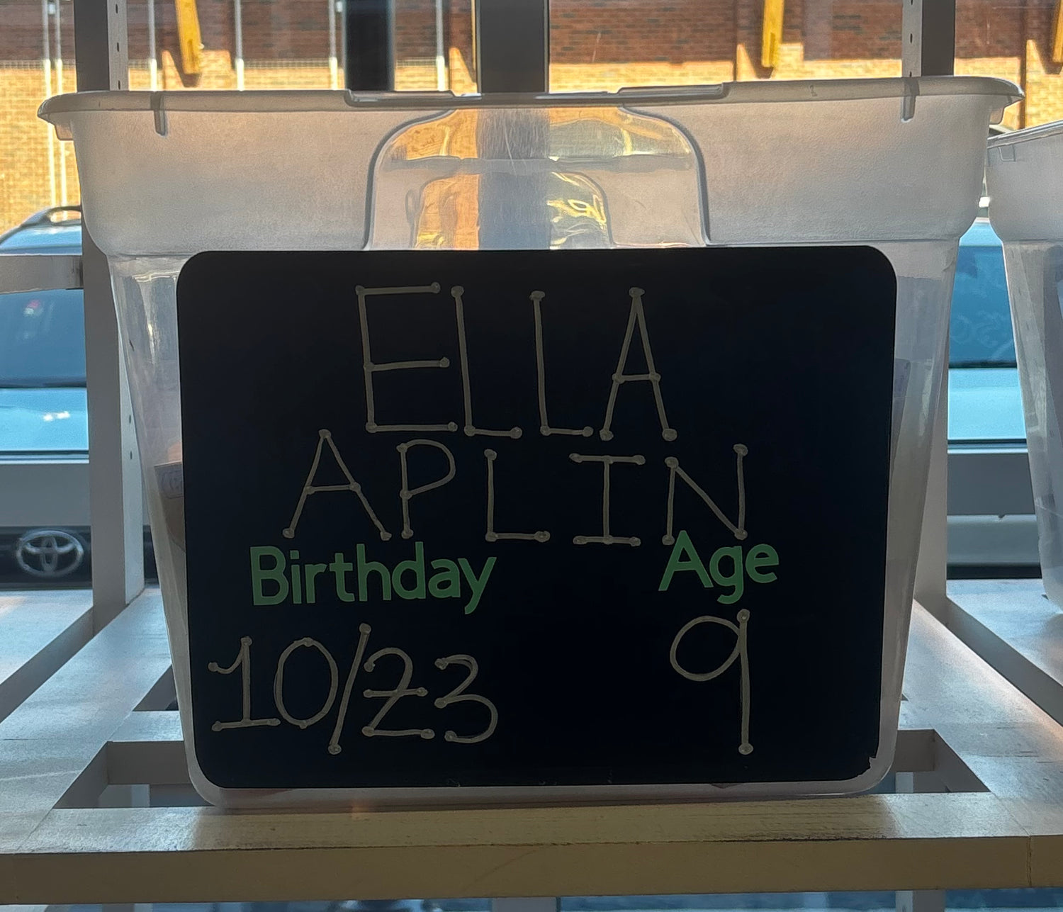 ELLA APLIN'S BIRTHDAY WISHLIST