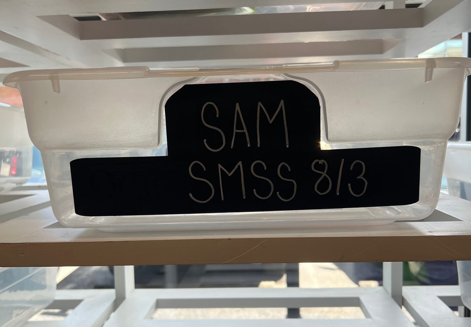 Sam's Birthday Wishlist (SMSS)