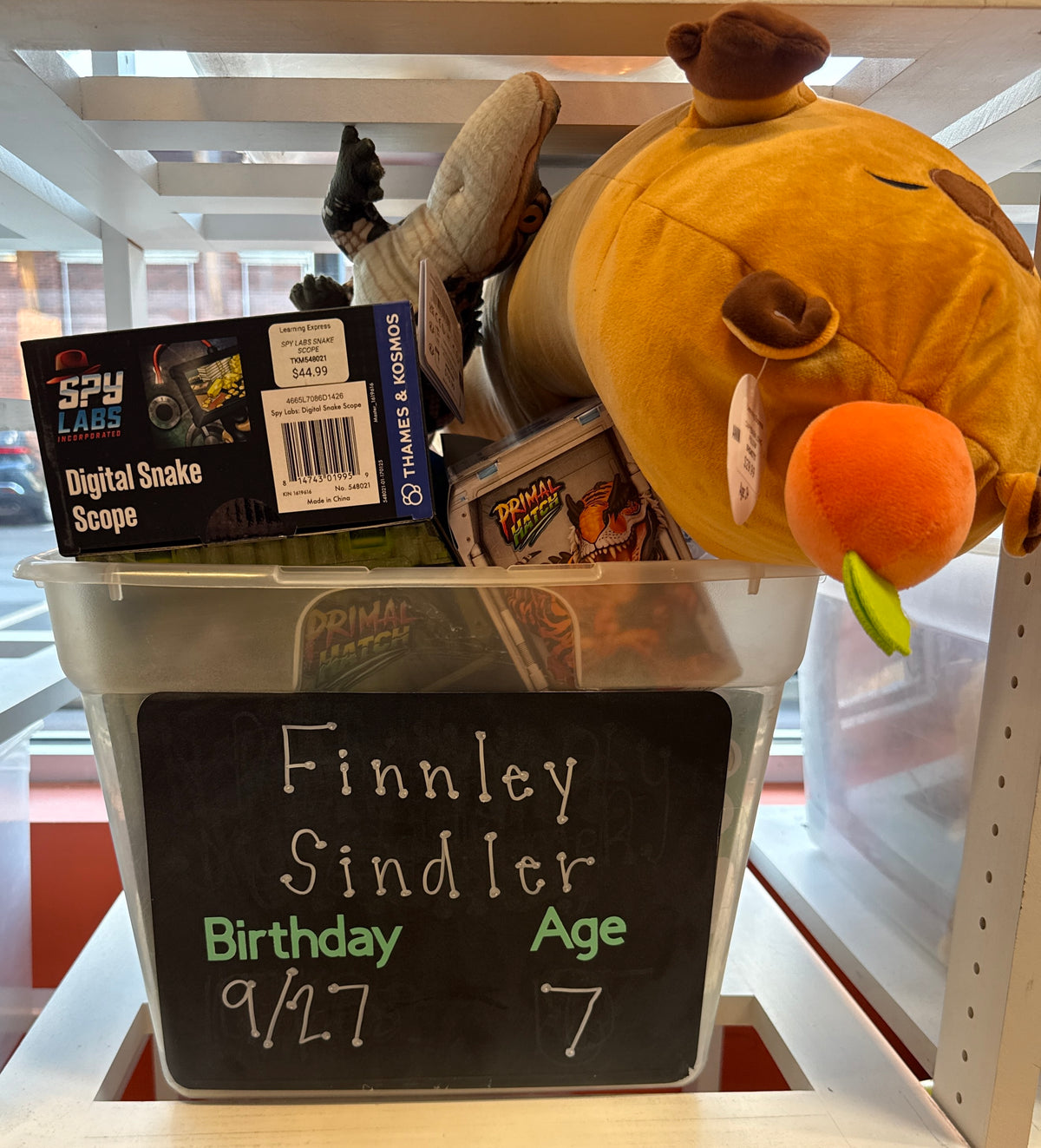 FINNLEY SINDLER BIRTHDAY WISHLIST