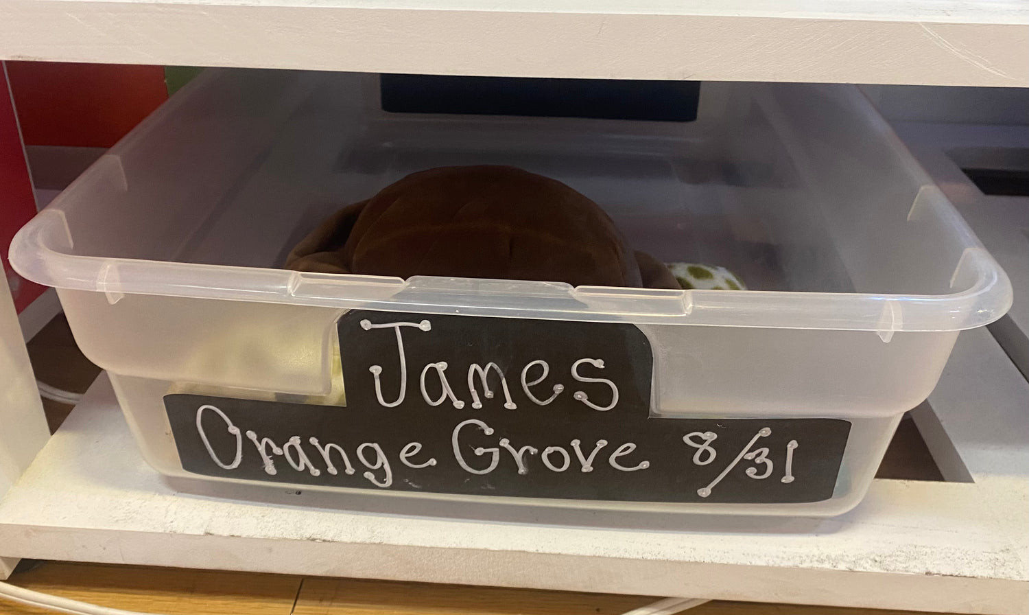James's Birthday Wishlist (Orange Grove)