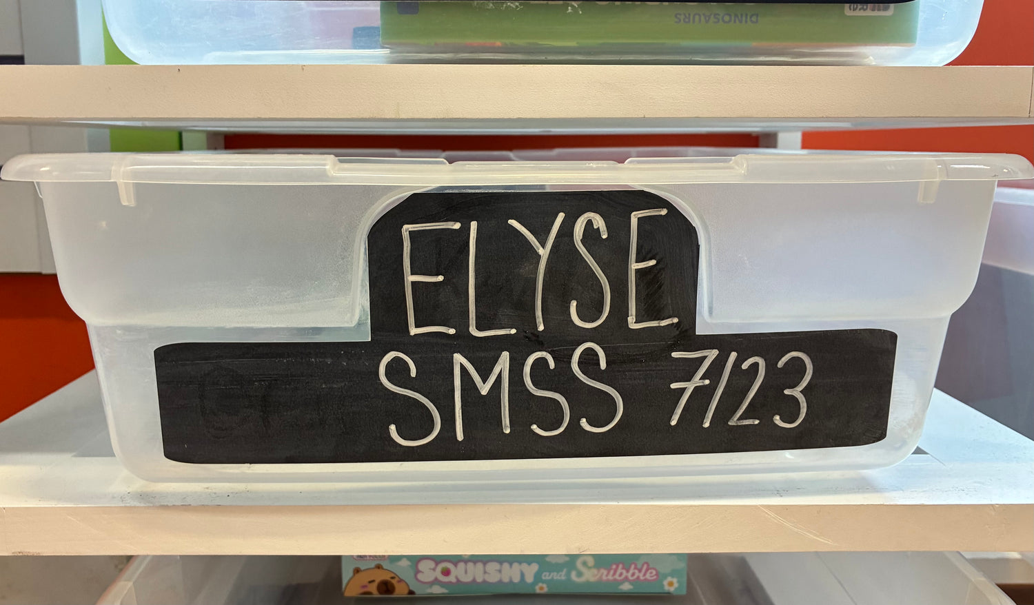 Elyse's Birthday Wishlist (SMSS)