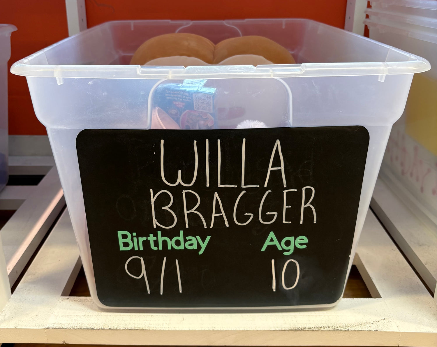 WILLA BRAGGER'S BIRTHDAY WISHLIST
