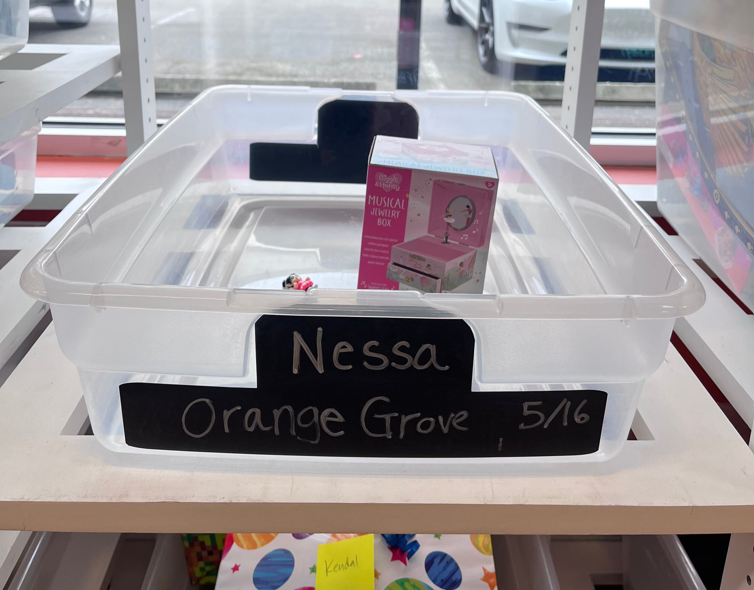 Nessa's Birthday Wishlist (Orange Grove)
