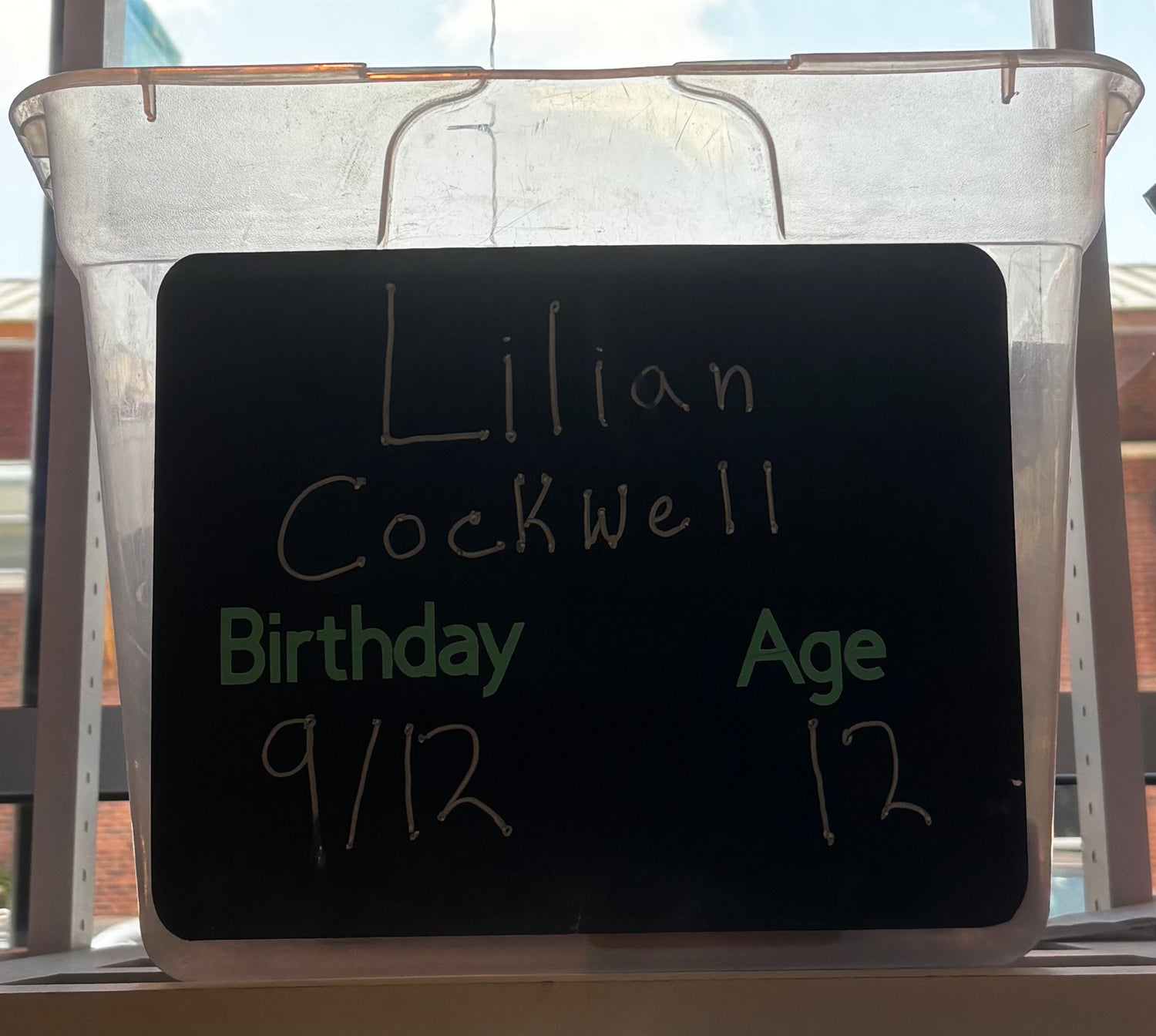 LILIAN COCKWELL BIRTHDAY WISHLIST