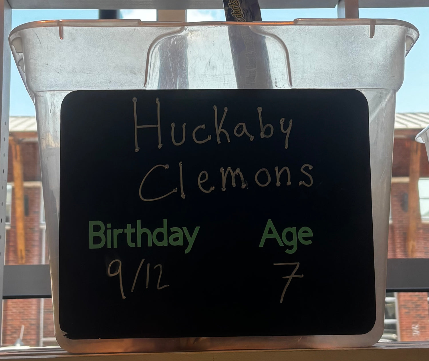 HUCKABY CLEMONS BIRTHDAY WISHLIST