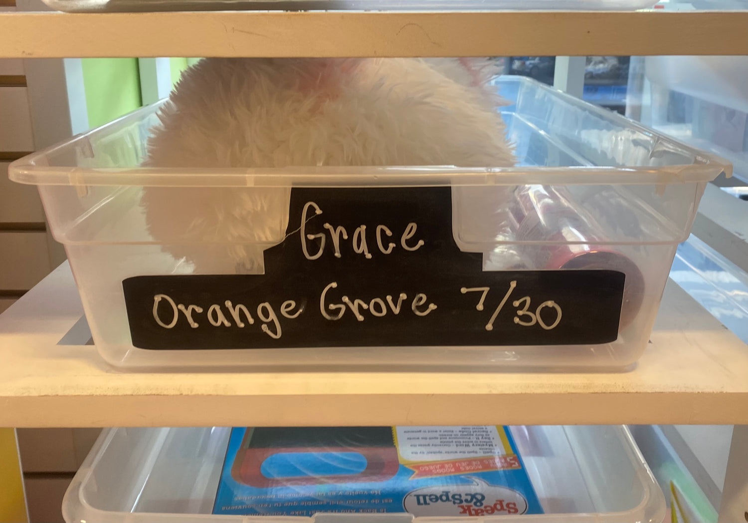 Grace's Birthday Wishlist (Orange Grove)