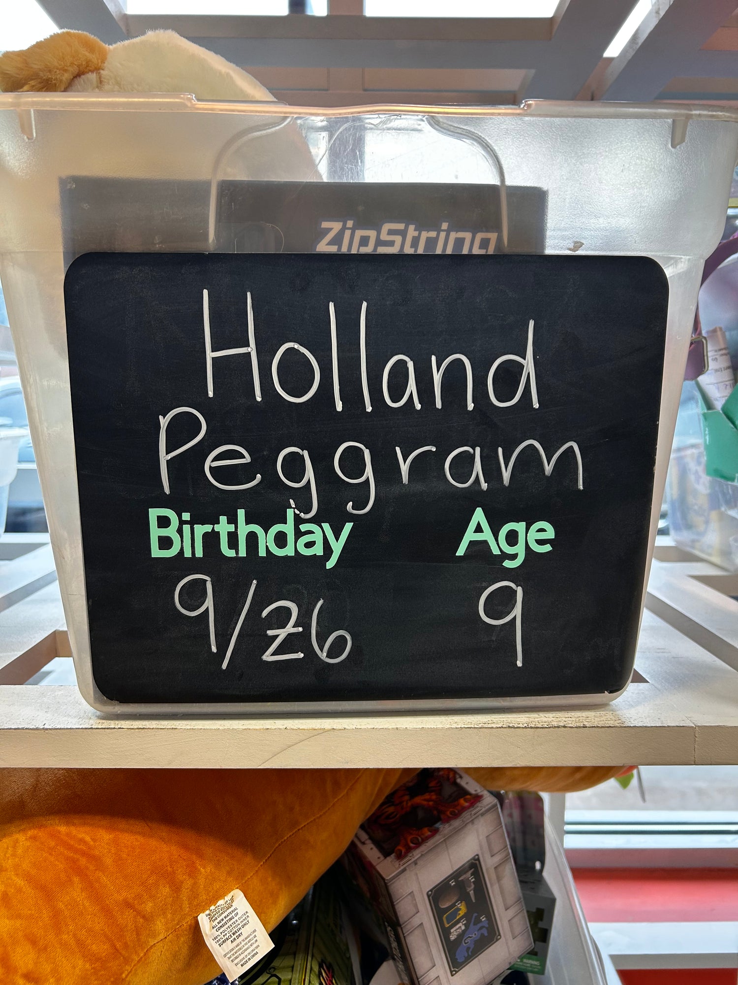 HOLLAND PEGGRAM'S BIRTHDAY WISHLIST