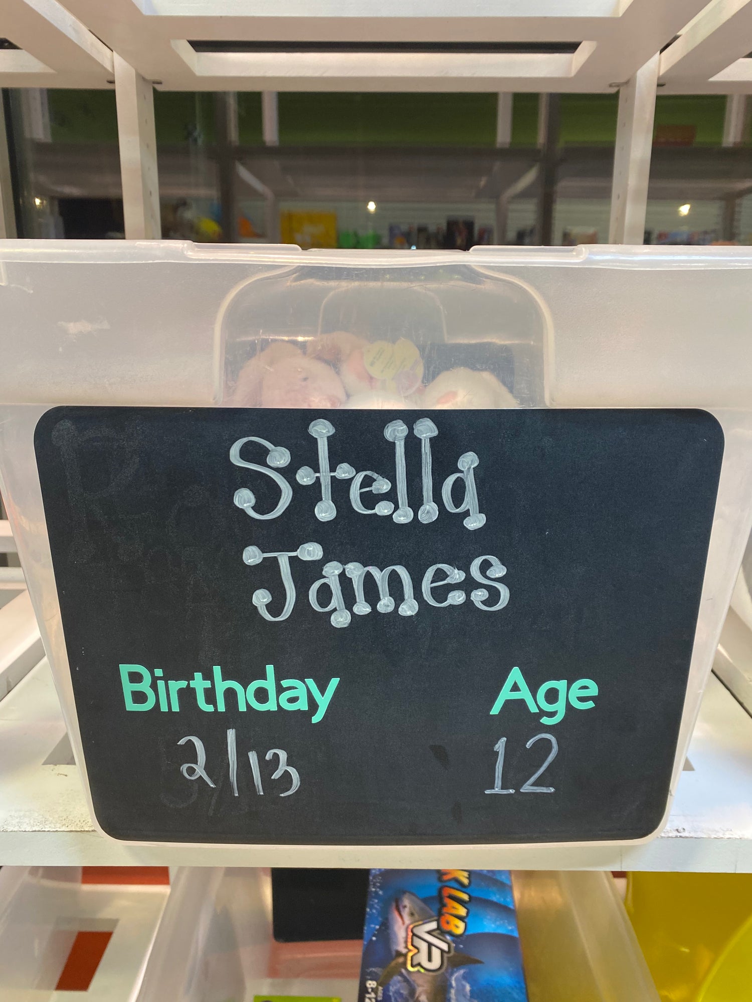 Stella James Birthday Wishlist