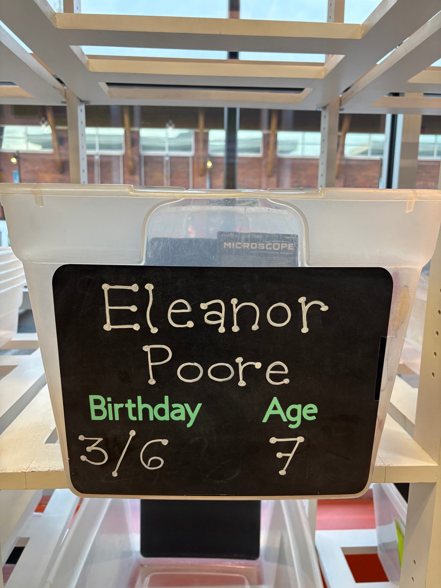 Eleanor Poore's Birthday Bin