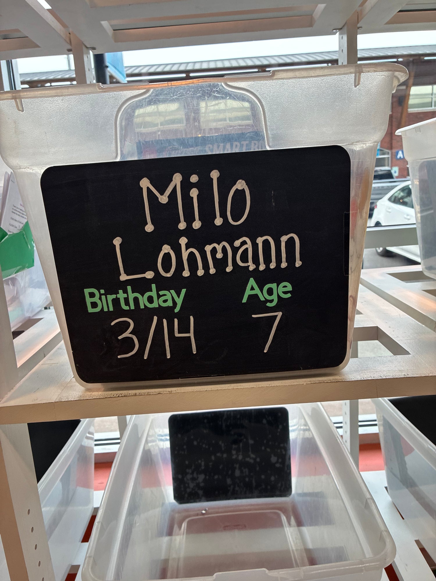 Milo Lohmann’s Birthday Bin