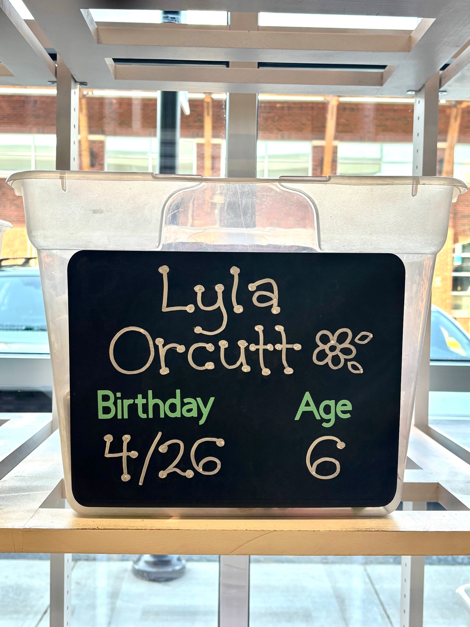 Lyla Orcutt's Birthday Wishlist