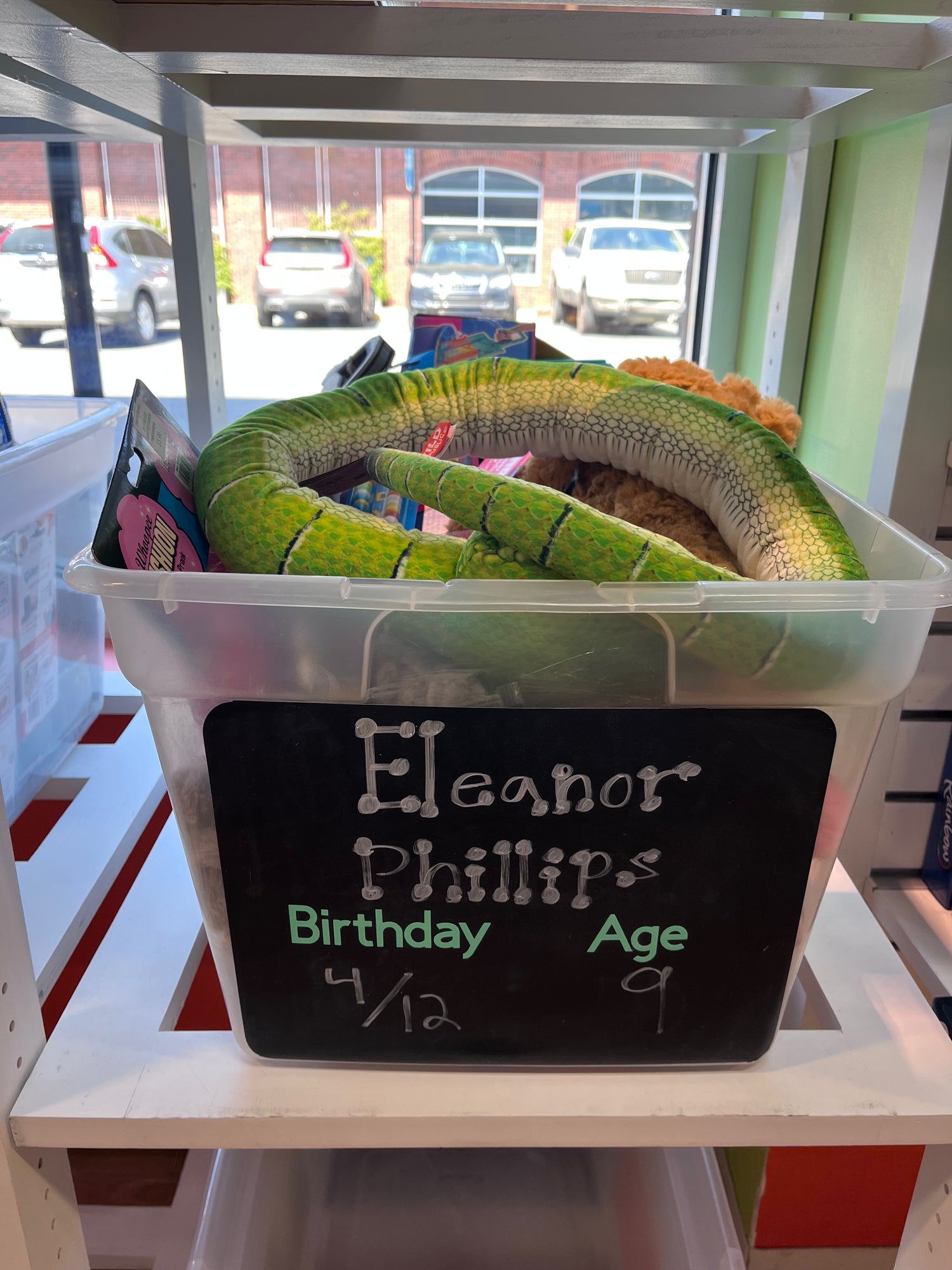 Eleanor Phillips Birthday Wishlist