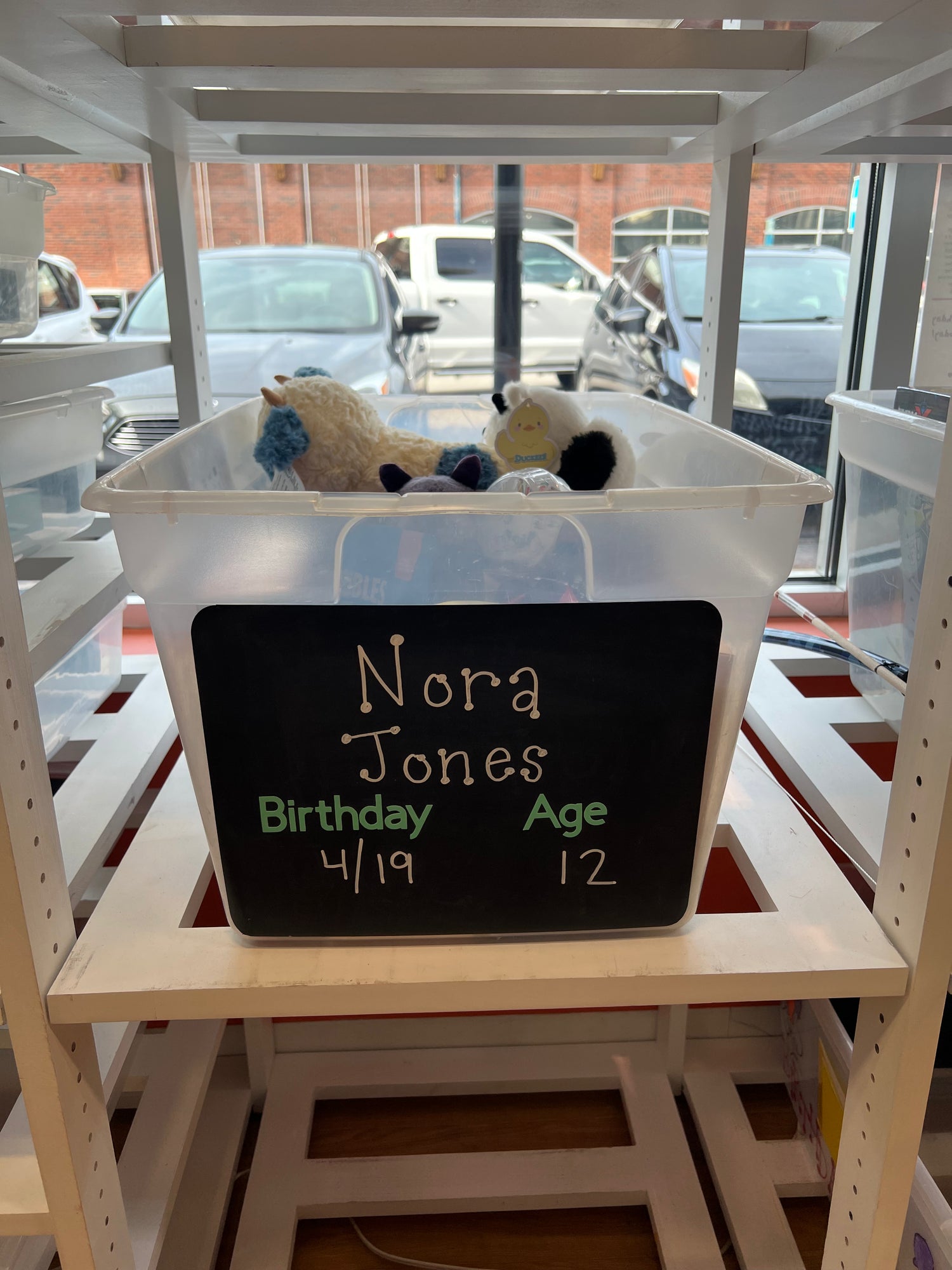 Nora Jones's Birthday Wishlist