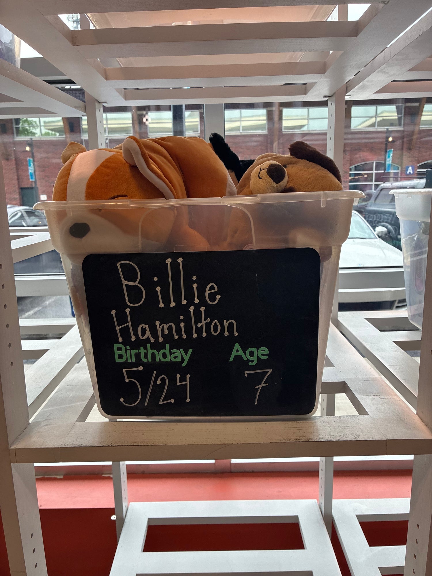 Billie Hamiltons Birthday Wishlist
