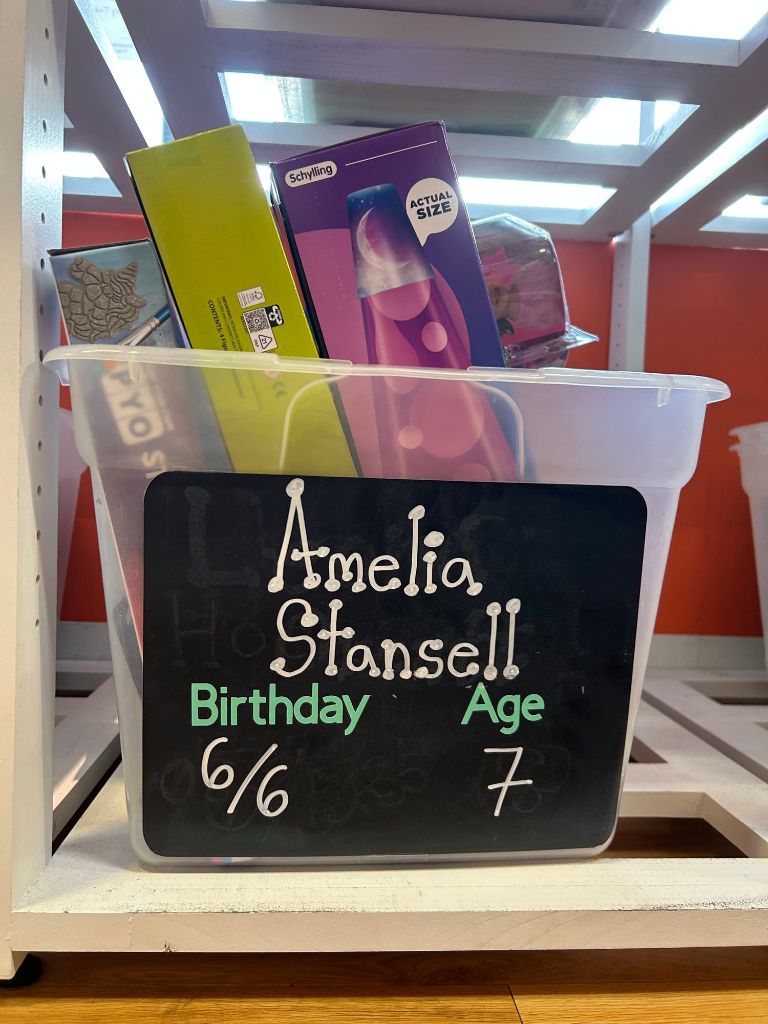 Amelia Stansell's Birthday Wishlist