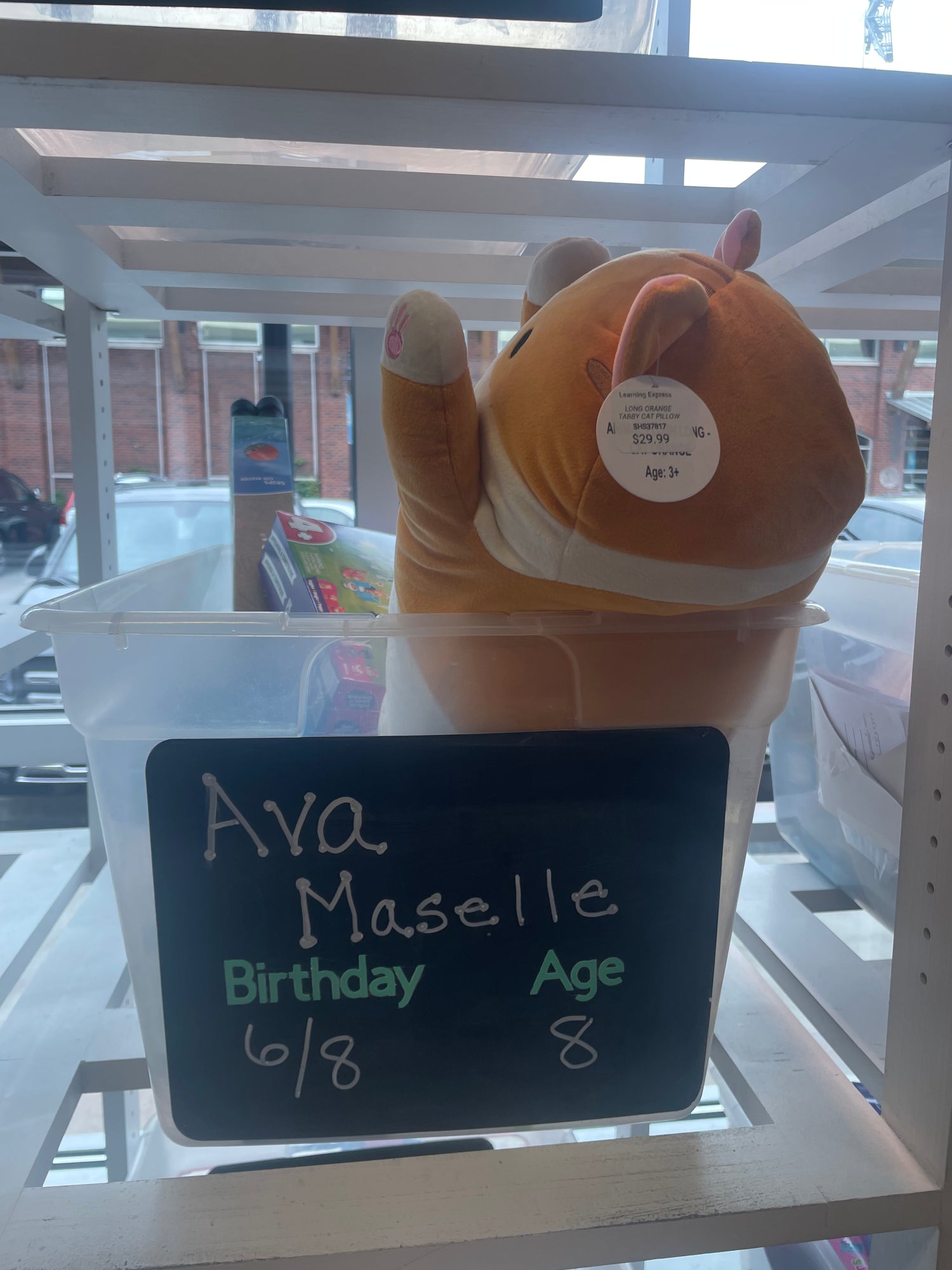Ava Maselle's Birthday Wishlist