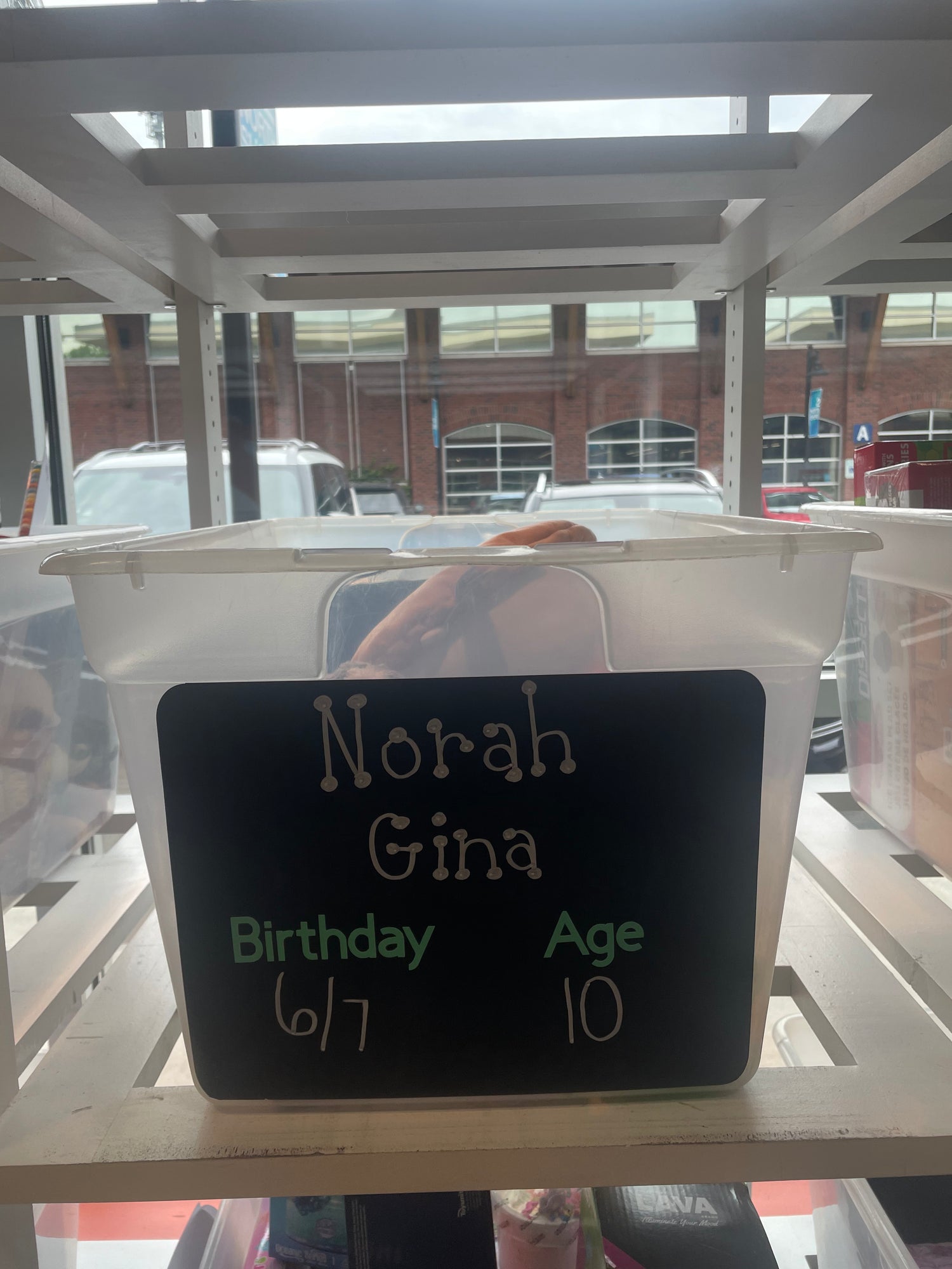 Norah Gina's Birthday Wishlist