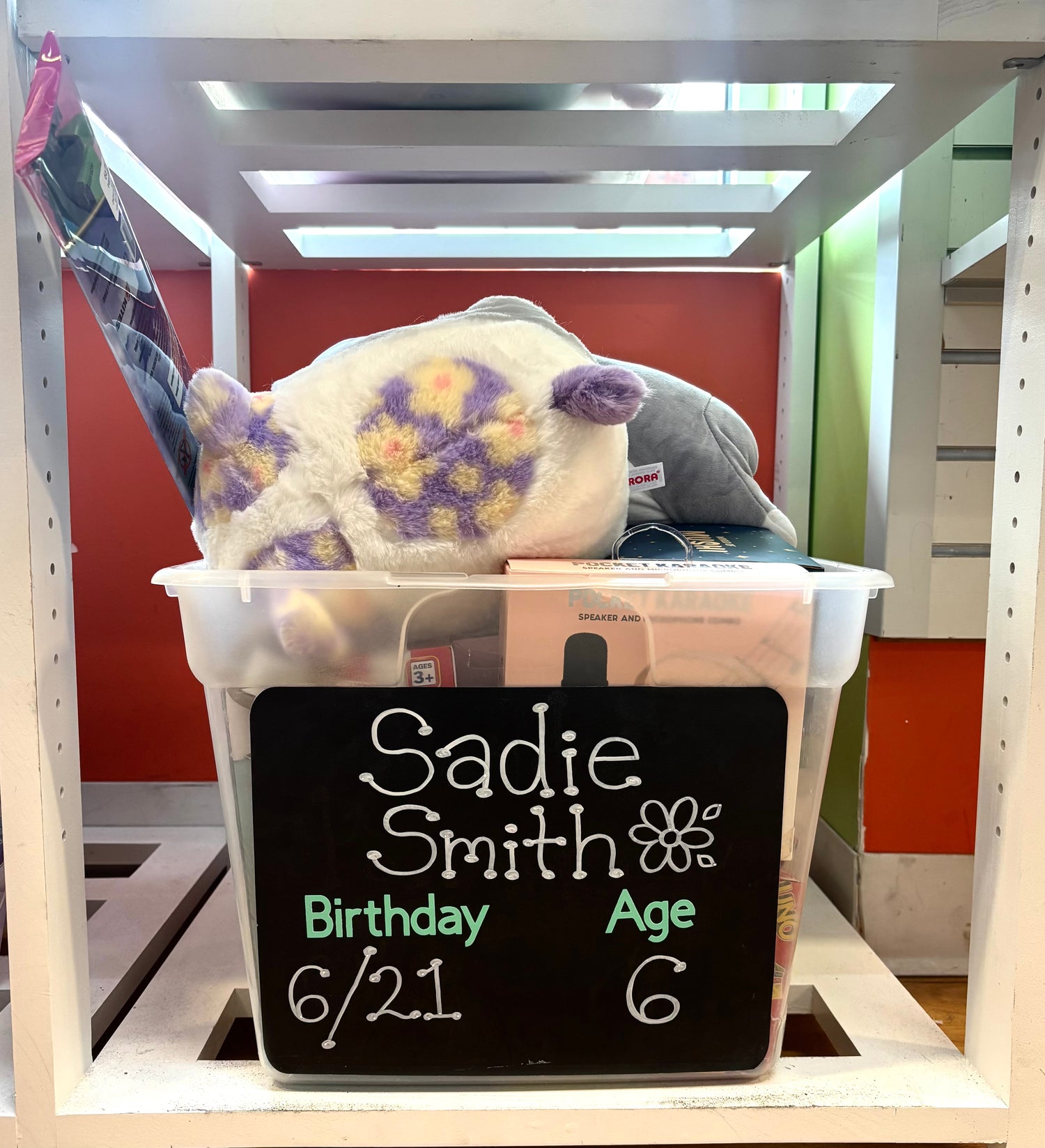 Sadie Smith's Birthday Wishlist