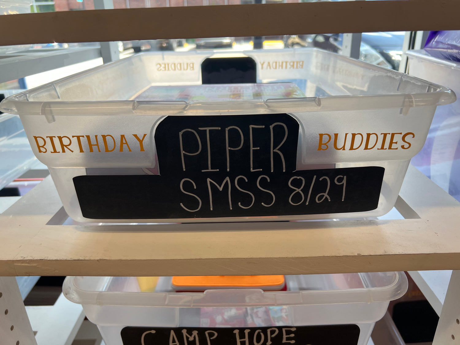 Piper's Birthday Wishlist (SMSS)